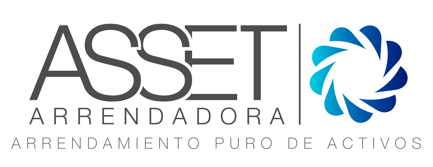 Asset Logo
